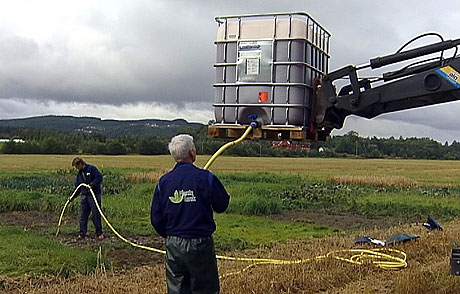 1500 liter jordbærsyltetøy ble spredd på jordet i Stjørdal torsdag. Foto: NRK Trøndelag. 1500 liter jordbærsyltetøy ble spredd på jordet i Stjørdal torsdag. Foto: NRK Trøndelag.