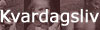 Kvardagsliv - banner