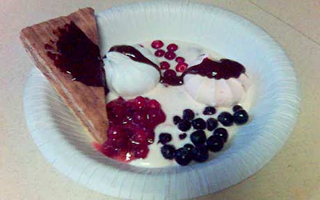 Dessert à la Vulusjøen (Foto: NRK Trøndelag)
