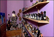 Cathrine har en noe uvanlig hobby, nemlig å samle på pingviner!