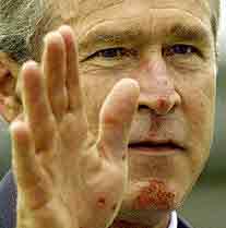 2004: Bush faller av sykkelen og får skrubbsår i ansiktet. En tilsvarende episode inntreffer i juli 2005, da han kolliderer med en britisk politimann. (ekte)