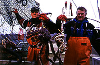 Leif Ingil (t.v.) og Bjarne Hansen fra Bugynes p Krabbefiske i Varangerfjorden.