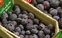 Frukt og bær med sterke farger, som blåbær, er en god kilde til antioksidanter.