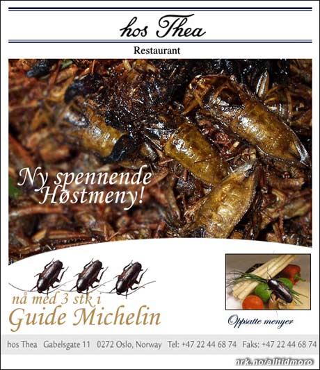 Mattilsynet har undersøkt steder som kan smykke seg med opptil flere kakerlakker i Michelin-guiden. (Innsendt av Stian Helgesen)