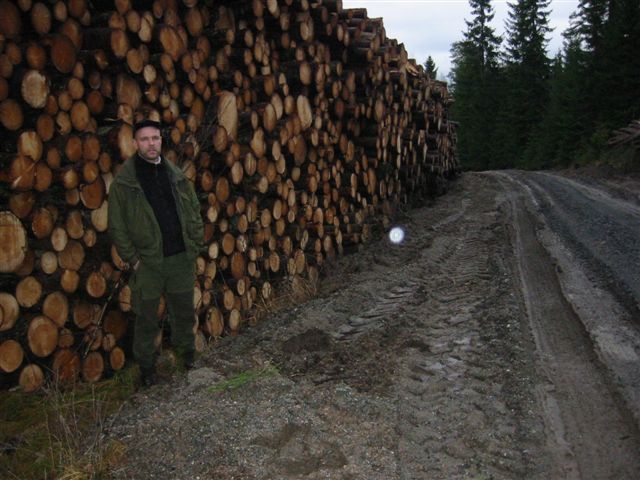 Skogbruksleder Fredrik Haug i Glommen Skogeierforening ved en skogsbilvei i Deldalen i Nord-Odal (foto: vera Wold).