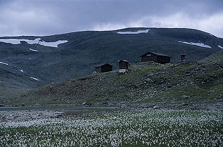 Vakker natur er noe av det som skal lokke turister hit. Foto Den Norske Turistforening. Vakker natur er noe av det som skal lokke turister hit. Foto Den Norske Turistforening.