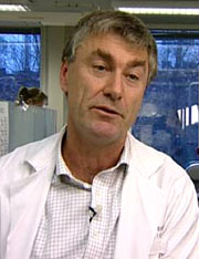 Ivar Espelid er professor ved odontologisk fakultet ved Universitetet i Oslo. Foto: NRK/Puls