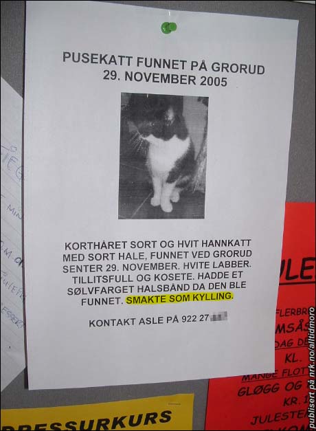 Snill og katt funnet – Humor fra arkivet