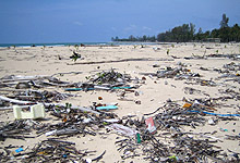Phuket - ett år etter tsunamien. Foto: Ellen Omland, NRK Phuket - ett år etter tsunamien. Foto: Ellen Omland, NRK