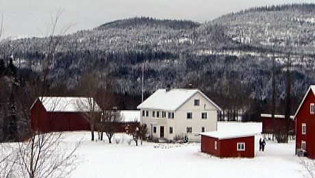 Det skal fortsatt drives landbruk på Duun i Grong. Foto: NRK Trøndelag. Det skal fortsatt drives landbruk på Duun i Grong. Foto: NRK Trøndelag.