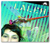 Laleh er nominert til sju Grammis i Sverige. Foto: Promo Laleh er nominert til sju Grammis i Sverige. Foto: Promo