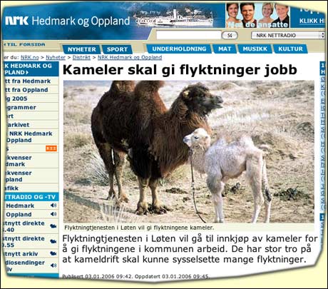 Nrk.no melder at kameler blir det nye store på Løten. 