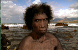 Homo erectus. Foto: NRK.