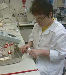 Ingeniør Inger Gundersen analyserer bakterieprøver for Norgesglasset. (Foto: Øyvind Wik/NRK)