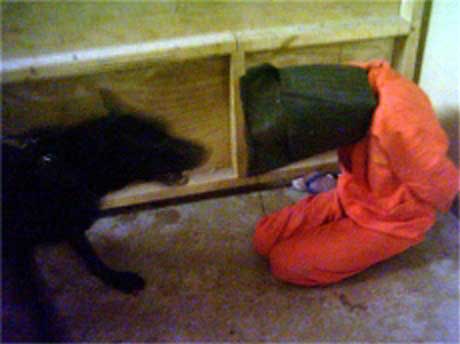 Også hundar vart brukte i mishandlinga i Abu Ghraib. (Foto: Reuters/Scanpix)