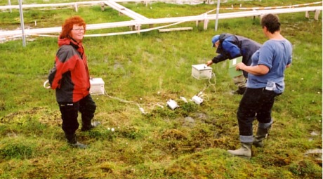 Professor Mette Svenning fra Universitetet i Tromsø undersøker tundraens utslapp av klimagassen metan. Professor Mette Svenning fra Universitetet i Tromsø undersøker tundraens utslapp av klimagassen metan.