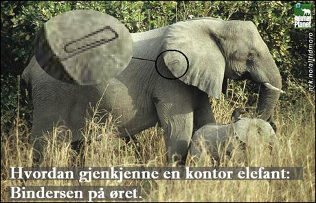 (Innsendt av Henrik Langås) (Innsendt av Henrik Langås)