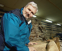 Råhud før behandling Råhud før behandling