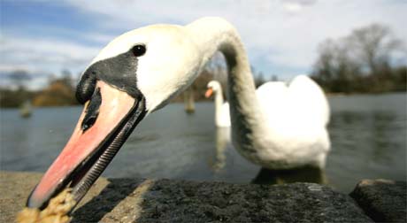 Foto: ap/scanpix Foto: ap/scanpix