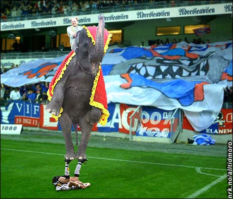 Enkelte klager over at det er blitt for mye sirkus i norsk fotball. Enkelte klager over at det er blitt for mye sirkus i norsk fotball.