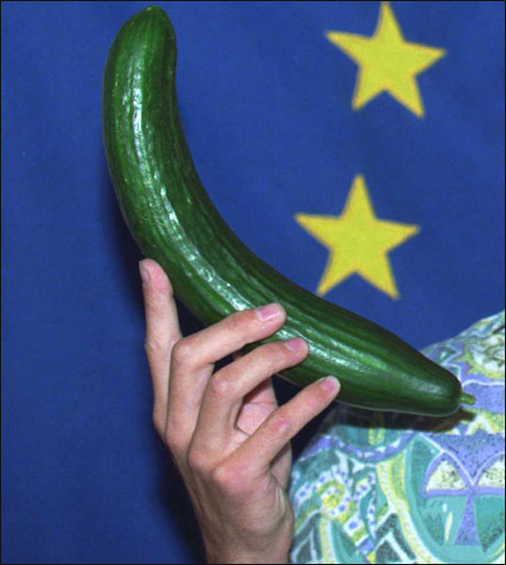 EU har vedtatt ny standard for hvordan en agurk skal se ut. ’Jeg synes den nye agurk-formen er fin’, sier Odd Nerdrum i en kommentar. (Kjell Lindås) Foto: Scanpix