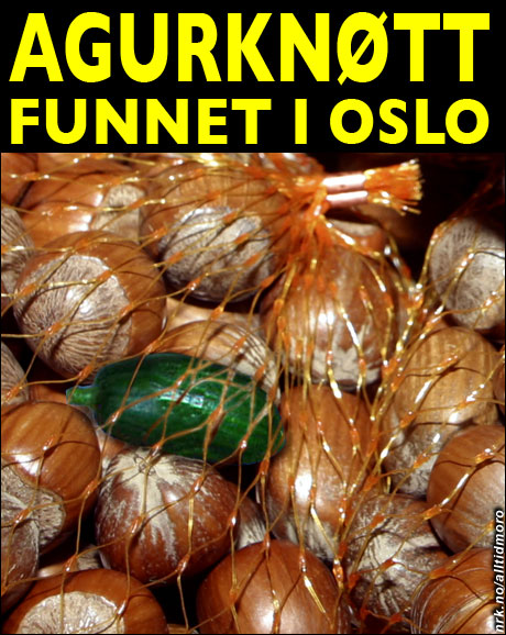 Ukens agurknytt. (Alltid Moro) Ukens agurknytt. (Alltid Moro)