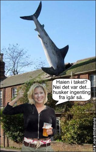 NRK-kjendis involvert i bisarr hai-ulykke. (Innsendt av Henrik Hope) NRK-kjendis involvert i bisarr hai-ulykke. (Innsendt av Henrik Hope)
