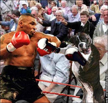 Mike Tyson møter en ordentlig boxer i sitt comeback i Las Vegas. (Innsendt av Tom Evensen)
