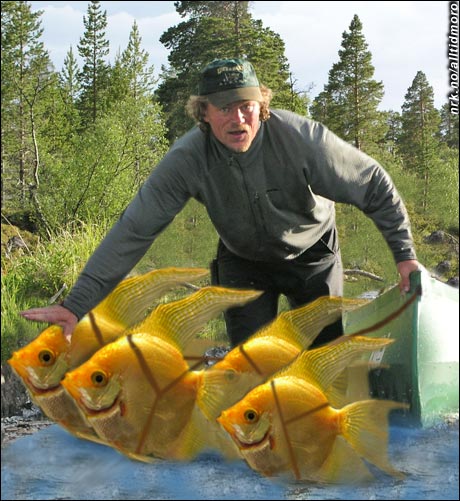 - Og når jeg ferdes til vanns har jeg dette spannet med sibirske gullfisker. (Alltid Moro)