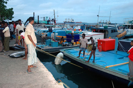 Over 99 % av Maldivene består av hav, og praktisk talt all næringsaktivitet har tilknytning til havet. Foto: NRK Over 99 % av Maldivene består av hav, og praktisk talt all næringsaktivitet har tilknytning til havet. Foto: NRK