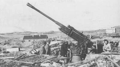 Slike kanoner var plasserte p Eimind. Biletet er fr Hjeltefjorden. Foto: Kystartilleriet