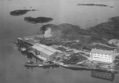 Sildoljefabrikken i Gunhildvågen i 1956. Foto: Telemark Flyveselskap