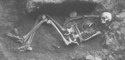 Skjelett av 17 r gamal gut i Grnhelleren. Foto: Bergen Museum