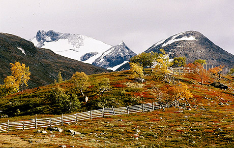 Hva med en tur over Sognefjellet i vakre høstfarger? Foto Trond Tandberg, Scanpix. Hva med en tur over Sognefjellet i vakre høstfarger? Foto Trond Tandberg, Scanpix.