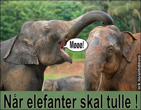(Innsendt av Tor Raael) (Innsendt av Tor Raael)