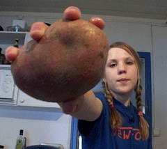 Legg poteten i vannet. Foto: NRK 