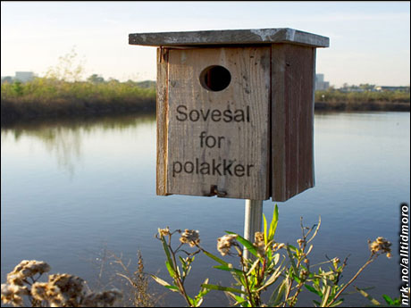 (Innsendt av Tor Raael) (Innsendt av Tor Raael)