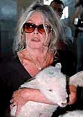 Brigitte Bardot i kjent positur. Foto: Scanpix