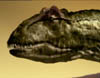Giganotosaurus